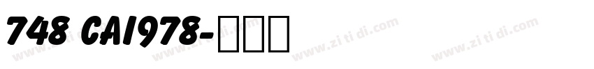748 CAI978字体转换